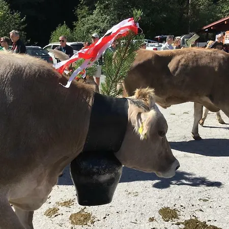 Haus Servus Nyaraló *