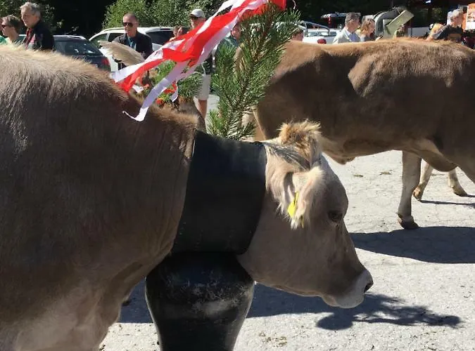 Haus Servus Dom wakacyjny *